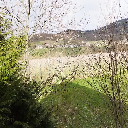 Grosszugige Maisonette Am Bach * Lauf